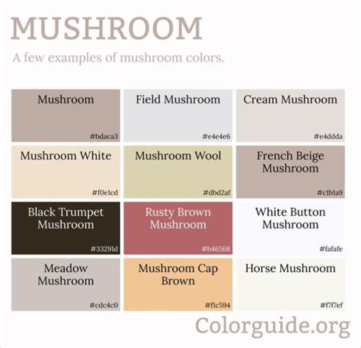 Unveiling The Enchanting World Of Mushroom Color Paint